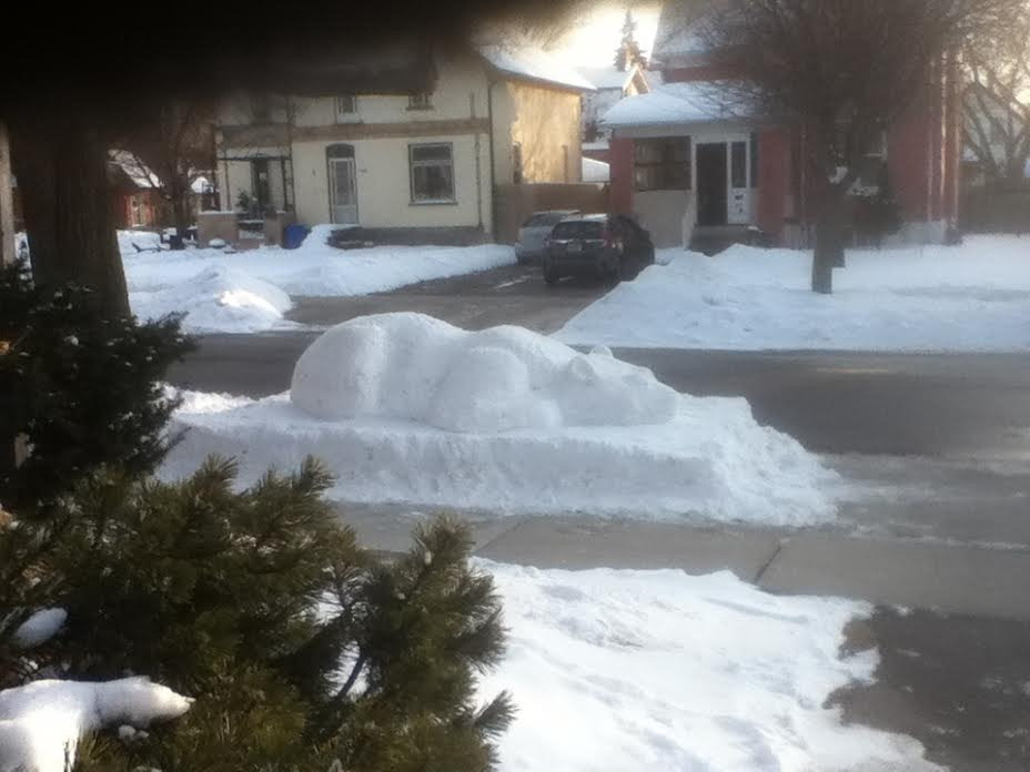 A polar bear carved out of snow in Kitchener's Victoria Park neighbourhood